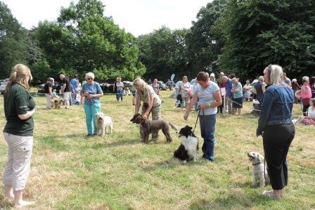 Dog Show