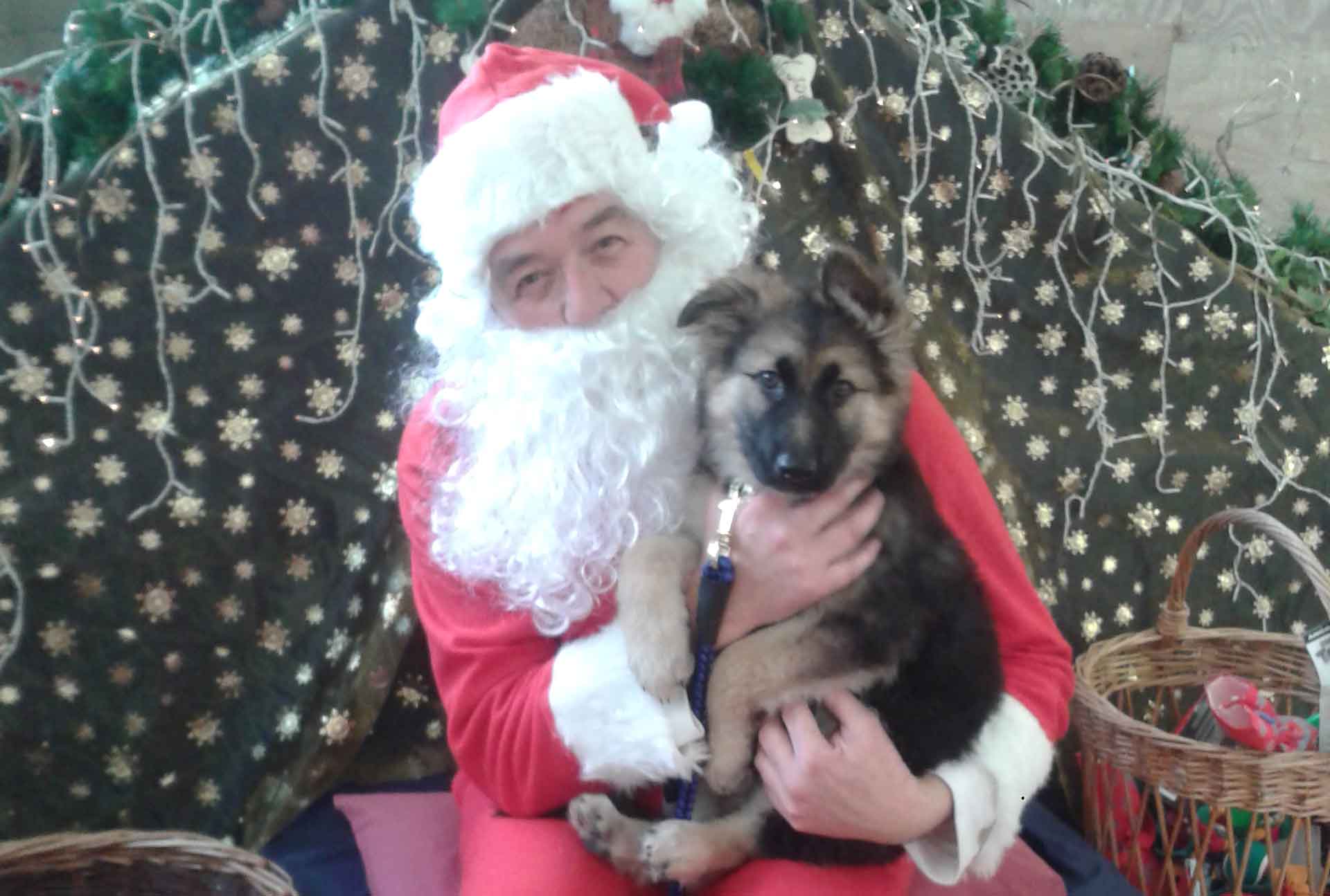 croppedGeorgie-Santa