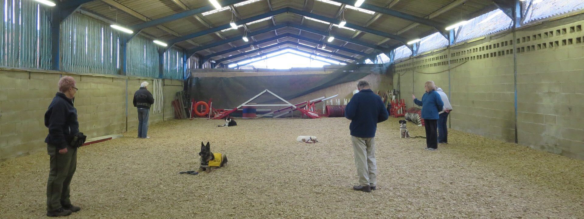 Puppy and Dog Training Norwich North Walsham Cromer Aylsham Holt