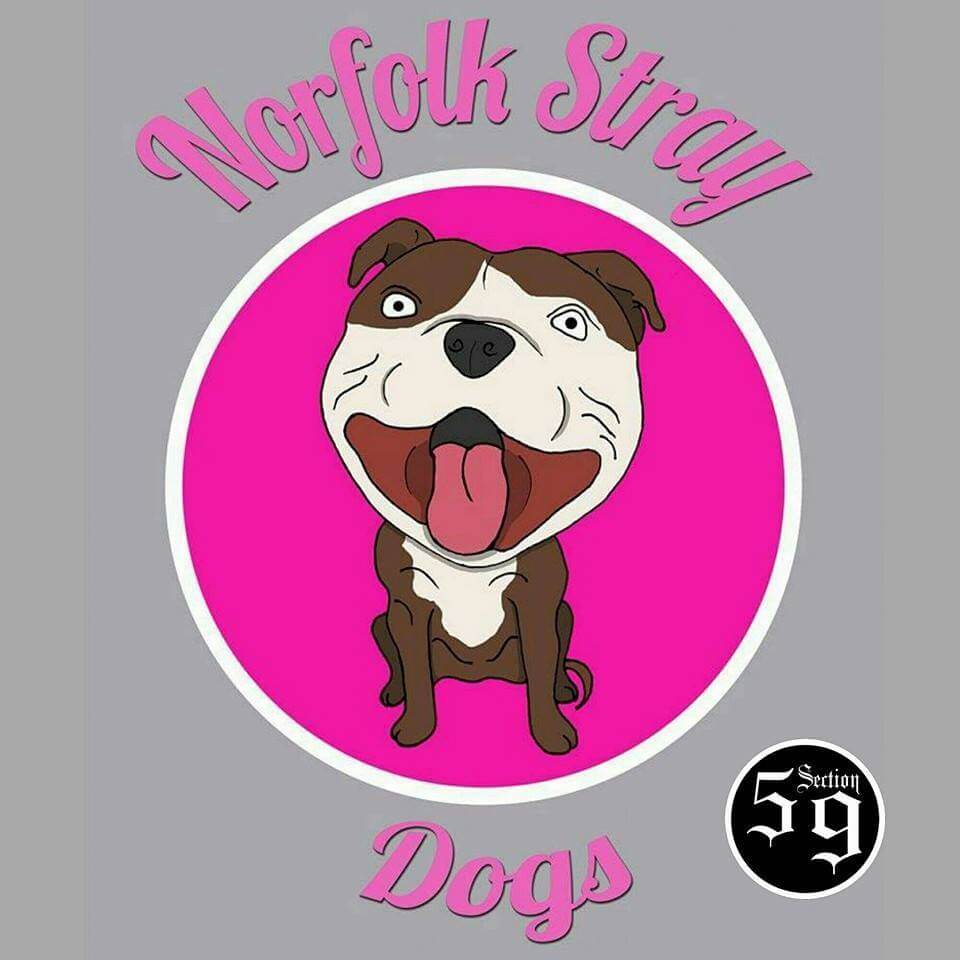 download free feeding stray dogs