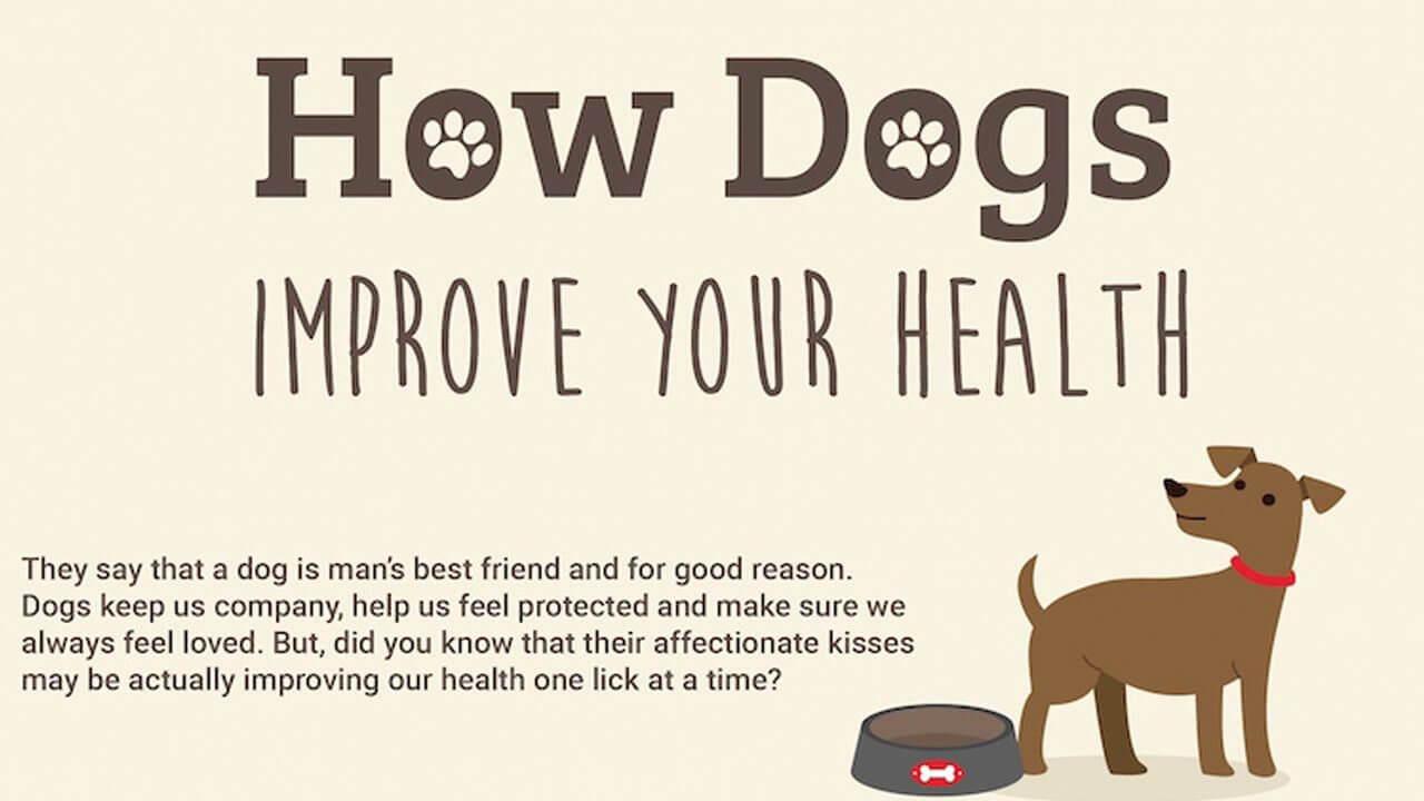 is owning a dog healthy