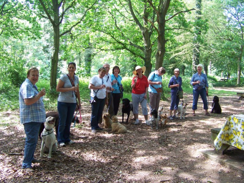 BACTON WOOD WALK JUNE 2010