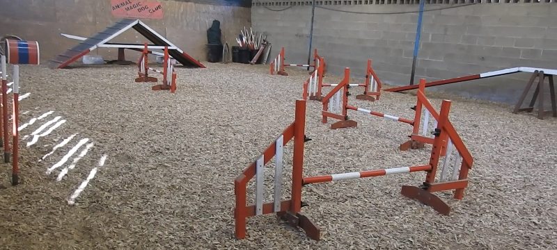 The Barn Dog and Puppy Training Space