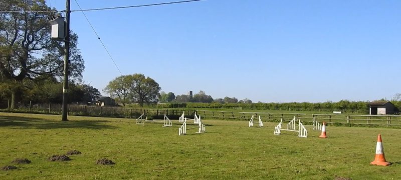 The Paddock Dog and Puppy Training Space
