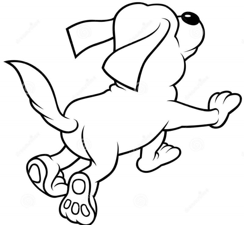 running-dog-17936359
