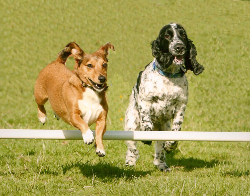 JACK AND ALFIE__edited-1