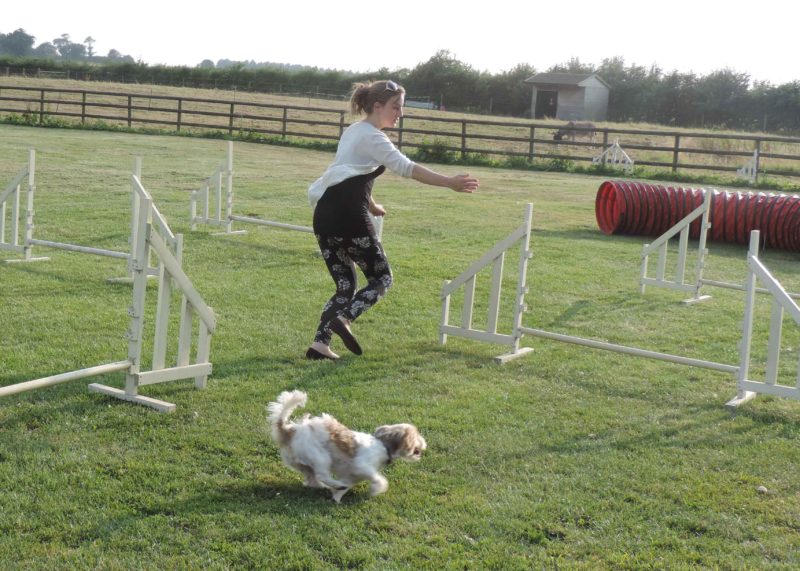 Try before you buy workshops Try before you buy workshops