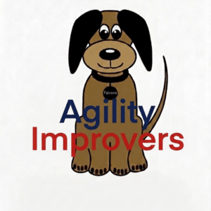Agility Improvers - 6.00pm - Starts: Wednesday 12th August 2026
