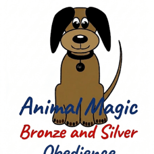 Animal Magic Obedience Bronze and Silver - 11.30am - Starts: Thursday 4th June 2026