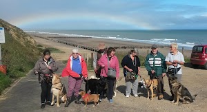 Animal Magic Dog Club place picture